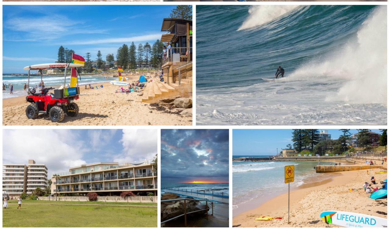 Dee Why Beach - Surfrider Studio 8 Apartman Deewhy Kültér fotó