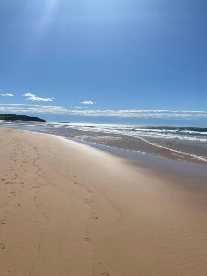 Dee Why Beach - Surfrider Studio 8 Apartman Deewhy Kültér fotó